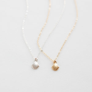 Seashell Necklace