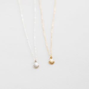 Seashell Necklace